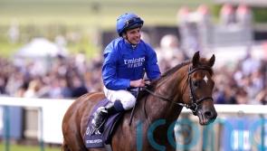 Appleby will take stock with Notable Speech following Ascot disappointment