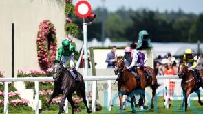 Running Lion roars to Duke Of Cambridge triumph
