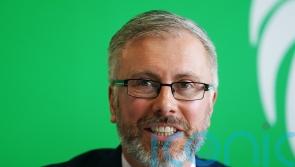 Two-horse race in Green Party leadership contest