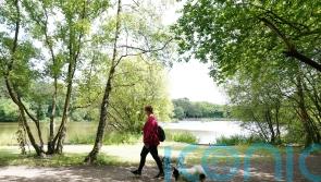 Walking could help prevent recurring back pain – study