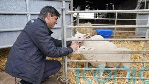High number of ultra-marginals makes North West a key battleground