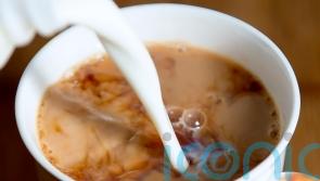 Batches of tea found to contain insects being recalled
