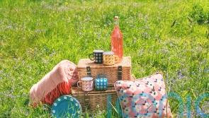 10 sunny ways to pimp up your picnic