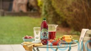 Robinsons maker Britvic rejects £3.1 billion takeover offer from Carlsberg