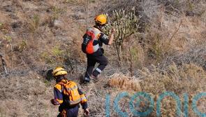 Jay Slater search party focuses on ravine near to where he was last heard from