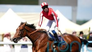 Isle Of Jura way too hot for Hardwicke rivals