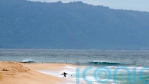 Hawaii lifeguard dies in shark attack while surfing off Oahu