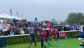 Goodwood return on the cards for Facteur Cheval