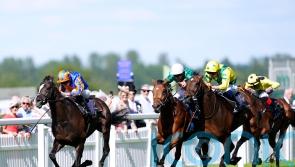 York trip could be on the Horizon for Dore