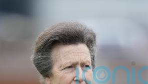 Princess Royal: What is concussion and how is it treated?