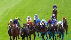 Ambiente Friendly supplemented for Irish Derby