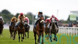 Railway Stakes mission for The Strikin Viking this weekend