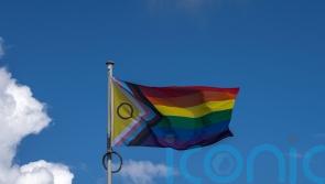 Almost half of LGBT+ youth have felt bullied in education, survey suggests