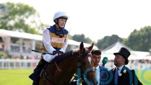 York beckons for Docklands before Aussie adventure