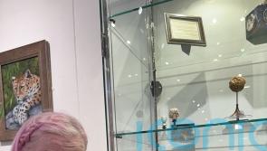 Artist ‘overjoyed’ as painted coins on show at prestigious miniatures exhibition