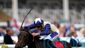 Darnation back on home ground for Hoppings assignment