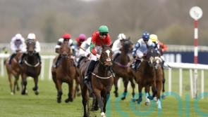 BHA says betting revenue falls in first quarter of 2024