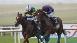 Jan Brueghel boosts Leger prospects with International win