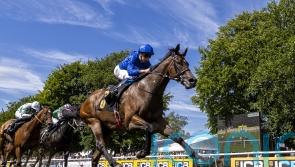 Noble Dynasty continues on upward curve at Newmarket