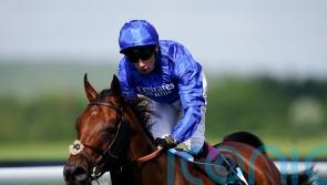 Bin Suroor confident of bright future for Wild Tiger