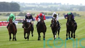 My Mate Alfie proves fastest in Curragh Dash
