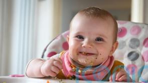 Baby-led weaning &lsquo;provides ample nutrients to support growth and development&rsquo;