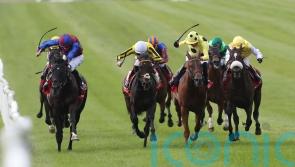 Fanshawe favouring drop in trip for gallant Ambiente Friendly