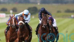 Middleham could roll Group One dice with The Strikin Viking