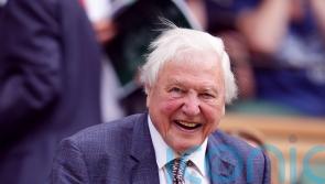 Sir David Attenborough and David Beckham among stars at Wimbledon