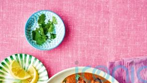 Pinch of Nom’s air fryer chicken tikka masala recipe