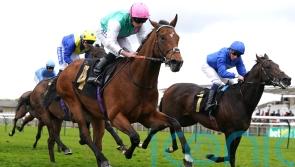 Kikkuli in line for crack at top-grade honours in France