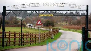 Man arrested after police dog dies following search of water at country park