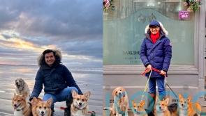Dog owner claims his corgis are related to the late Queen’s last litter and walks them in Windsor