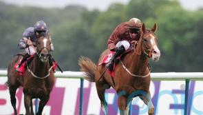 Top Notch Tonto thriving in new career