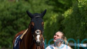 Vetiver bounces back in Chelsmford feature