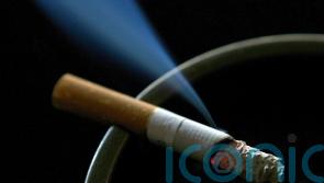 Government told &lsquo;no time to waste&rsquo; reviving smoking ban legislation