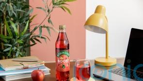 Carlsberg agrees £3.3bn takeover of Robinsons maker Britvic