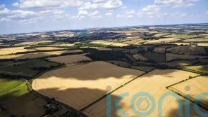 Fate of Thames Water and budget for nature-friendly farming in Labour’s in-tray
