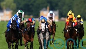 Haunted Dream targets John Smith’s Cup glory