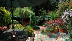 How to prepare your garden before you go on your summer holiday