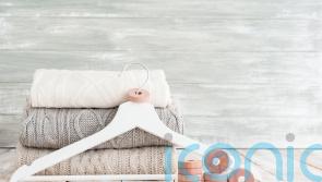 How to protect your wardrobe and clothes from summer moths