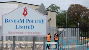 Firms in court accused of corporate manslaughter of pest controllers