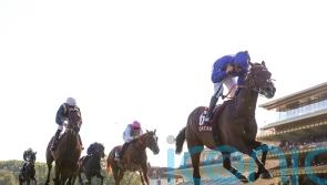 Palladium team considering familiar path for German Derby victor