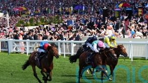 Kikkuli backed to strike after Deauville outing