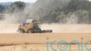 44% fall in total farming income in Northern Ireland