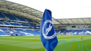 Former Australia international Dario Vidosic named new Brighton boss