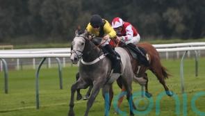 Channon sure Desperate Hero can make impact in major sprints