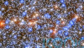 Astronomers find nearest massive black hole – study
