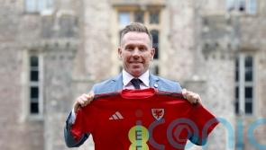 New Wales boss Craig Bellamy out to prove concerns over temperament unfounded