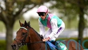 Lead Artist aiming to take starring role at Newmarket